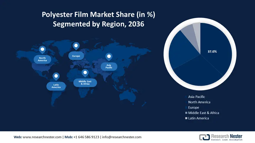 Polyester Film Market Share